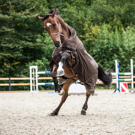 Mistral Regendeken 0 gram Regendekens - Onlinehorseoutlet