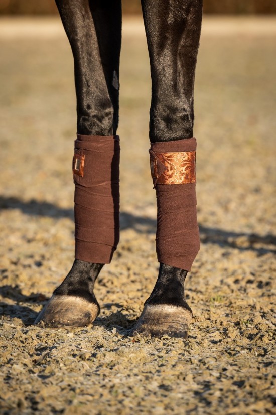 Bandage lake view rose 1