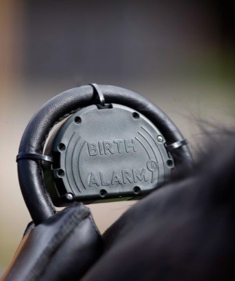 Birth alarm 2 0