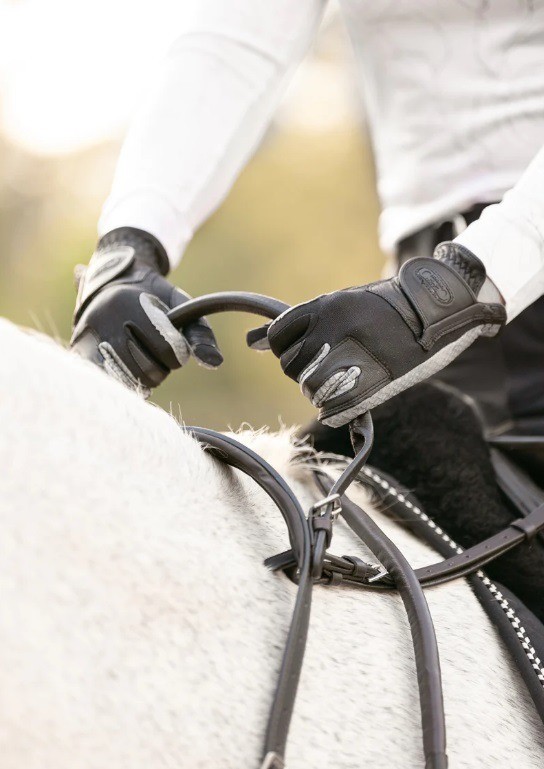 Bokriem nekband zwart 1