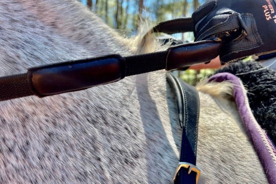 Comfortconnectreins zwart  4