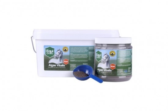 Equi algae vitalis