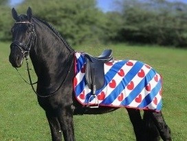 Uitrijdeken Friese vlag