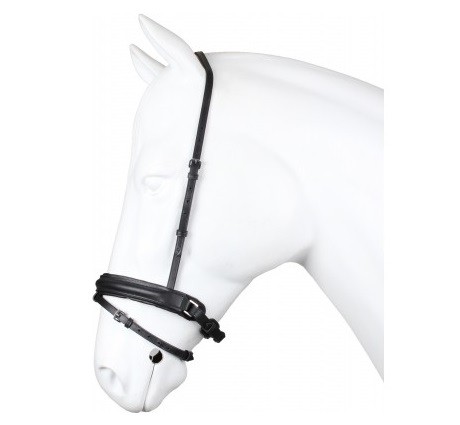 Gecombineerde aansnoerneusriem