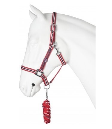 Halster dutch delight