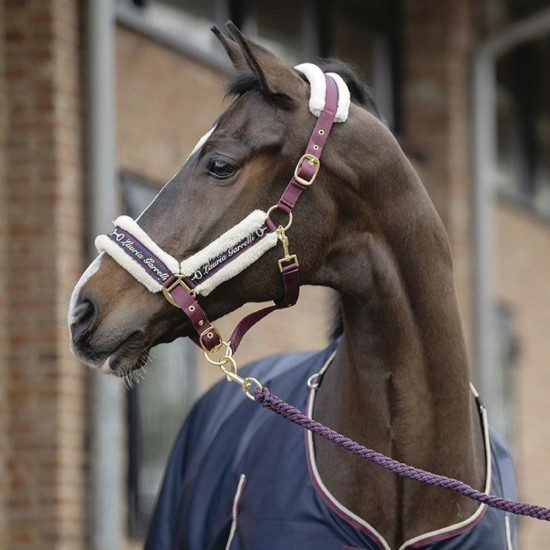 Halster morello limoni druif 2