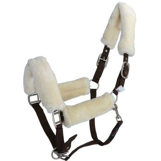 Halster north pole bruin