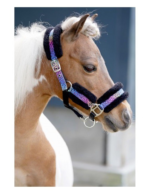 Halster rainbow funny