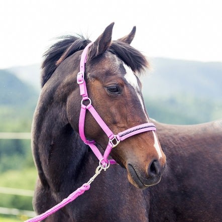 Horze ponyhalster strass