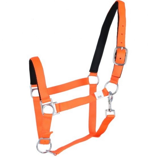 Halster softice neonoranje