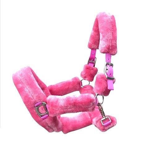 Halster teddy roze 1