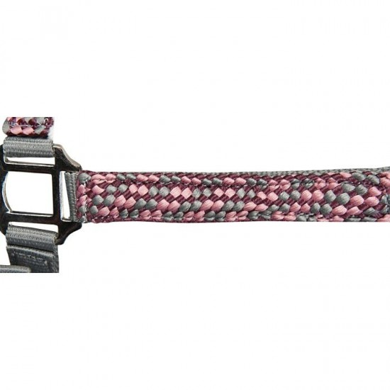 Halsterset della serra 2 0