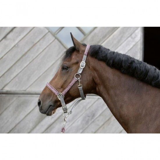 Halsterset della serra 4 0