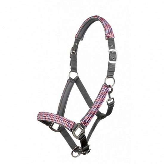 Halsterset della serra 5 0