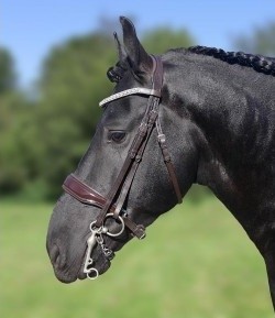 Hb stang en trens bruin