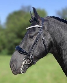 Hb stang en trens zwart