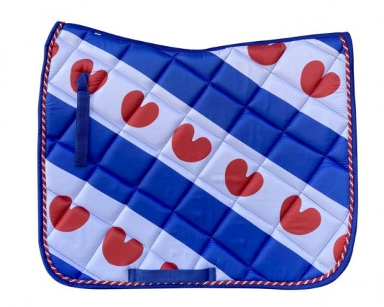 Hbzadeldekfriesevlagallover002