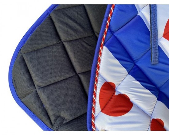 Hbzadeldekfriesevlagallovervoering002