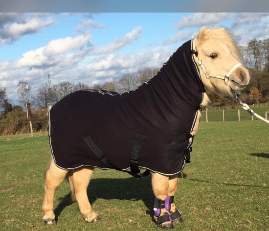 Hh wollen zweetdeken 1