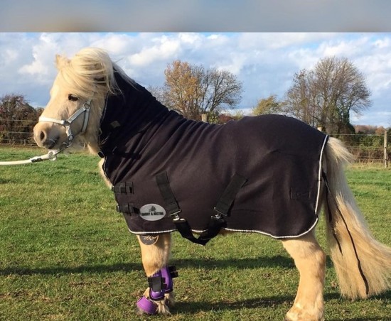 Hh wollen zweetdeken 2