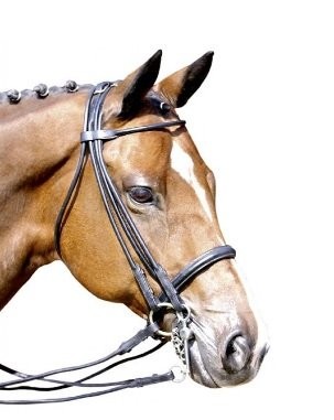 Hkm stang en trens rondgenaaid