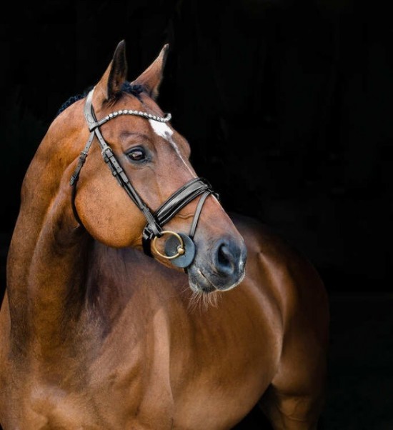 Hoofdstel clermont 2