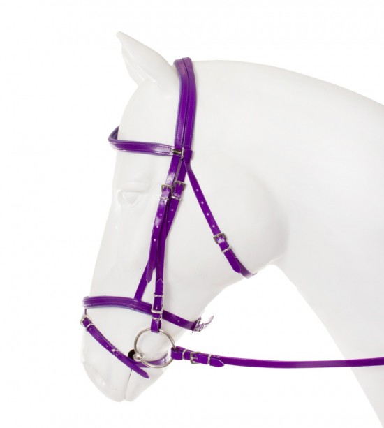 Hoofdstel flashy paars