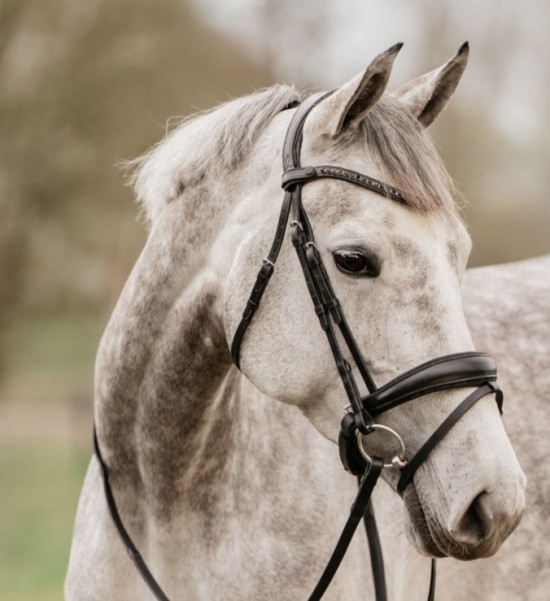 Hoofdstel gatsby zwart glitter 4