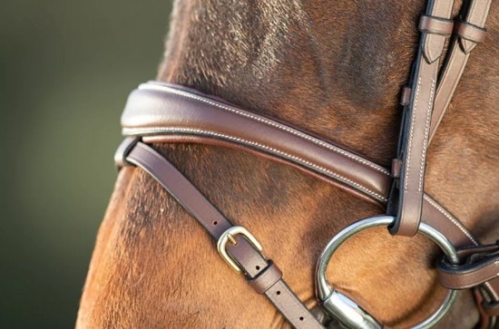 Hoofdstel hfi  technical bruin 2