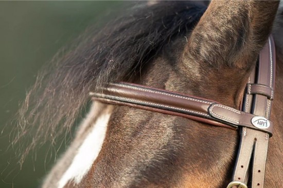 Hoofdstel hfi  technical bruin 3