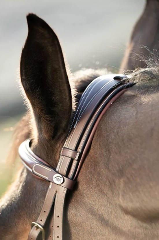 Hoofdstel hfi  technical bruin 4