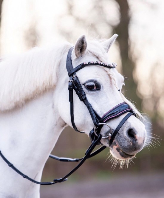 Hoofdstel special a pony roze 1