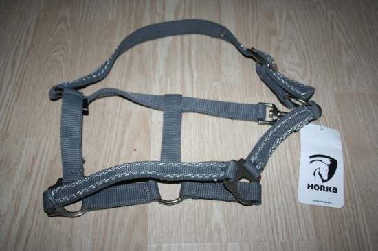 Haster met luxe zilver koord