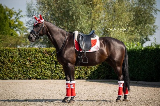 Kerstcollectie 2022hb 0