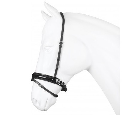 Gecombineerde neusriem met lak