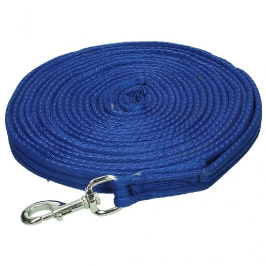 Longeerlijn royal blue