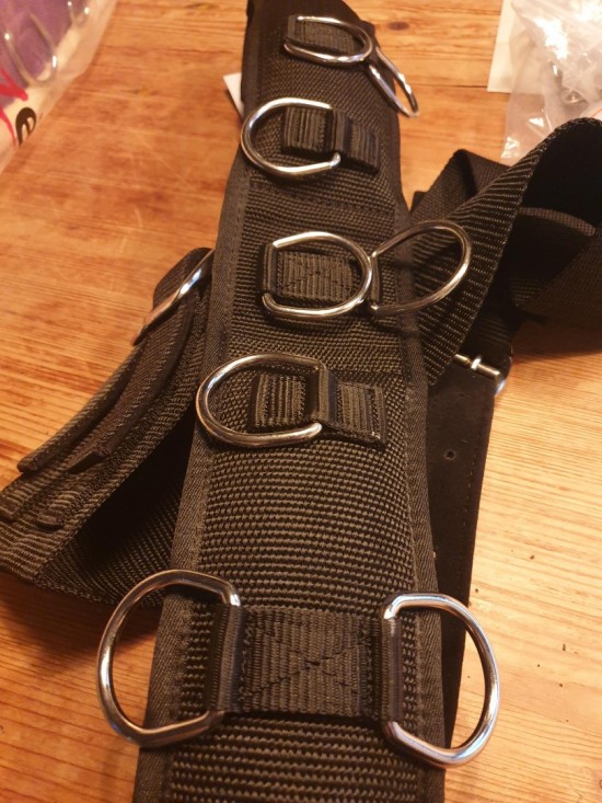 Longeersingel met schoft horze 3