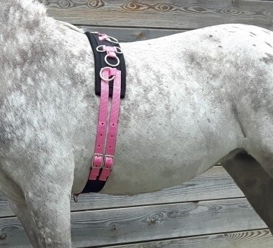 Longeersingel shet 3