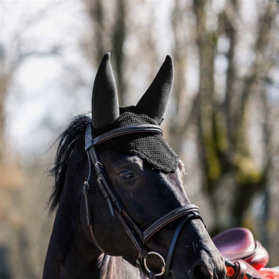 Oornet soundles bvx raxus 2