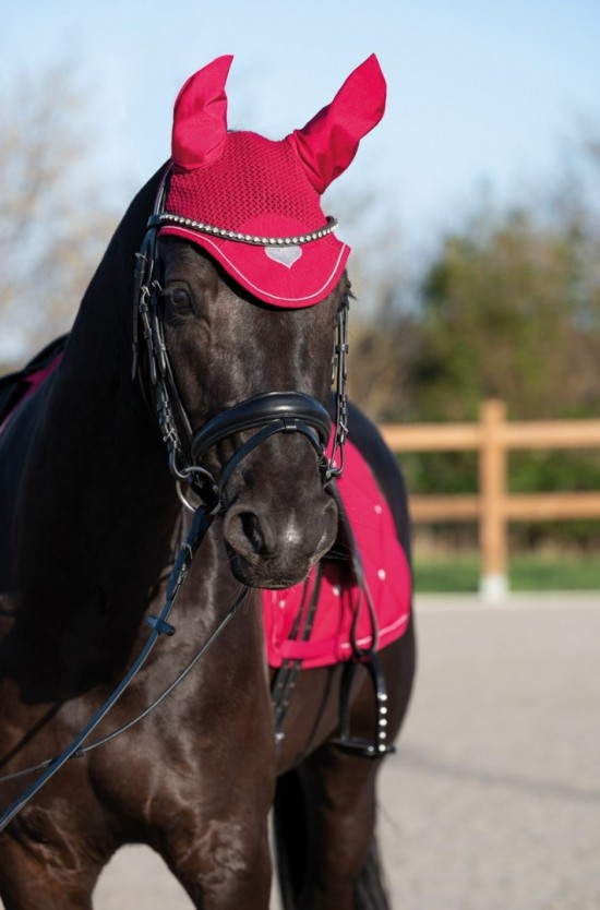 Oornet sweet valentine 2