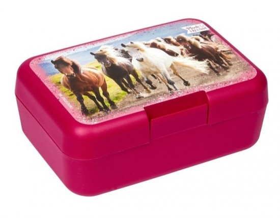 Sandwichbox horsefriends