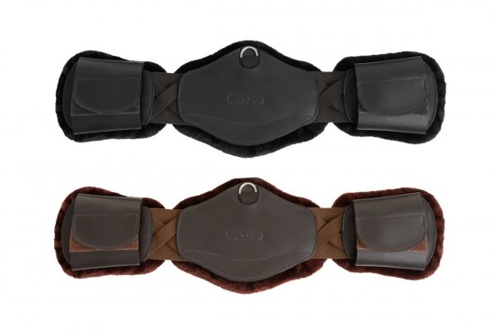 Singel correct connect dressuur 1