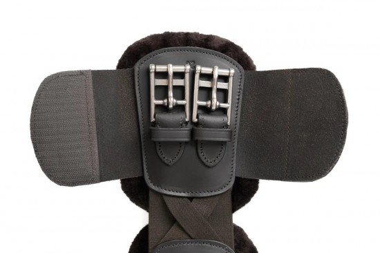 Singel correct connect dressuur 3