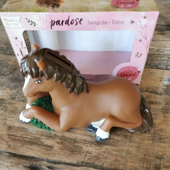 Spaarpot met geluid 1