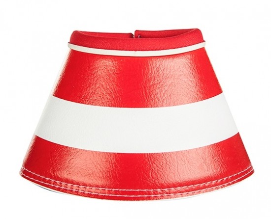 Springschoen flags 12