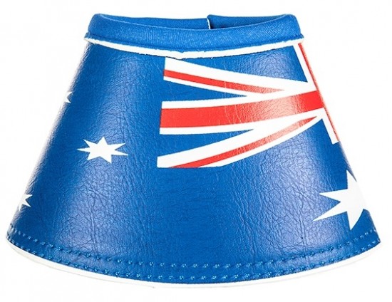 Springschoen flags 3