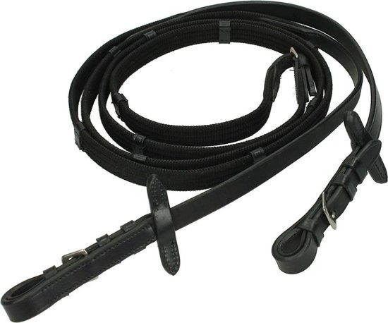 Teugel webband gesp sluiting zwart