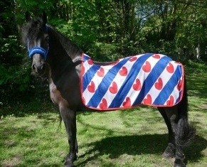 Uitrijdeken fries vlieg