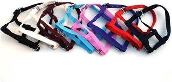 Veulenhalster assortie mini