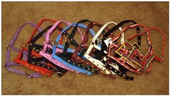 Veulenhalster assortie